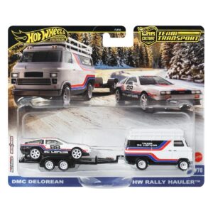 Hot Wheels Team Transport DMC Delorean